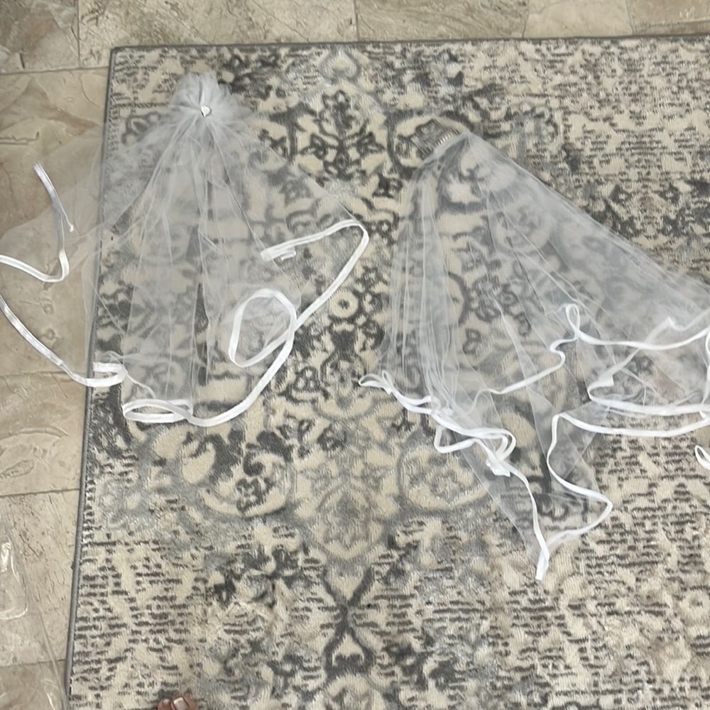 Two bridal / bachelorette party veils - costume/ dress up/ bridal π₯°βnewβw/oβtag